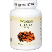 Natural Medicaments Chaga 500 mg