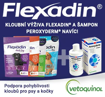 Flexadin + Peroxyderm (červen - srpen 2023)