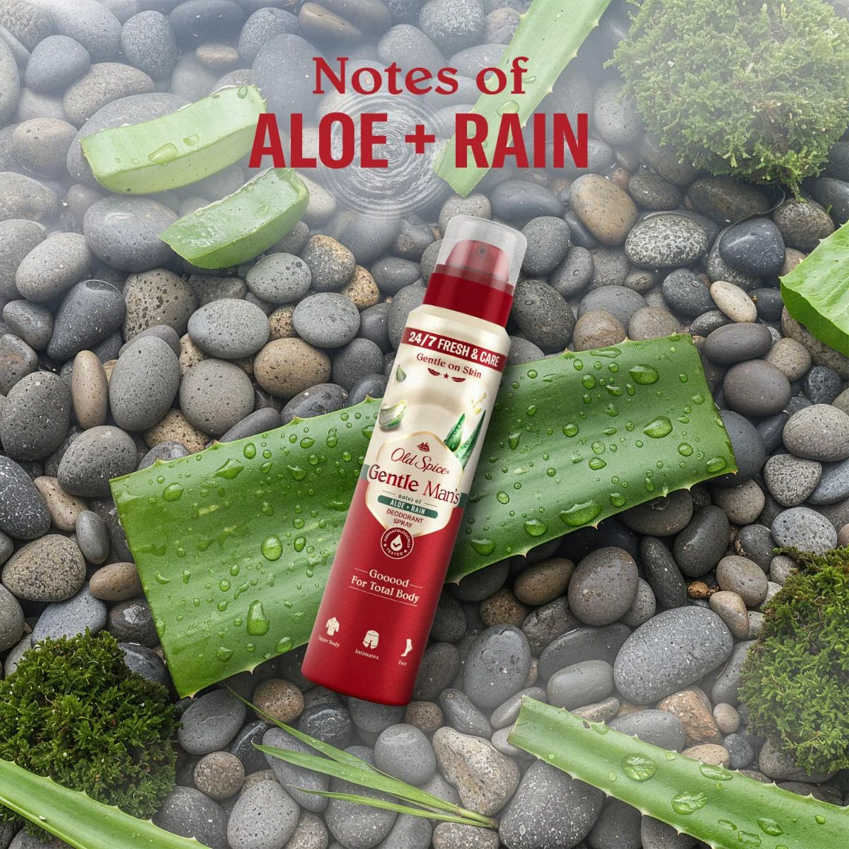 Old Spice Gentle Man's Aloe + Rain deodorant ve spreji 140 ml