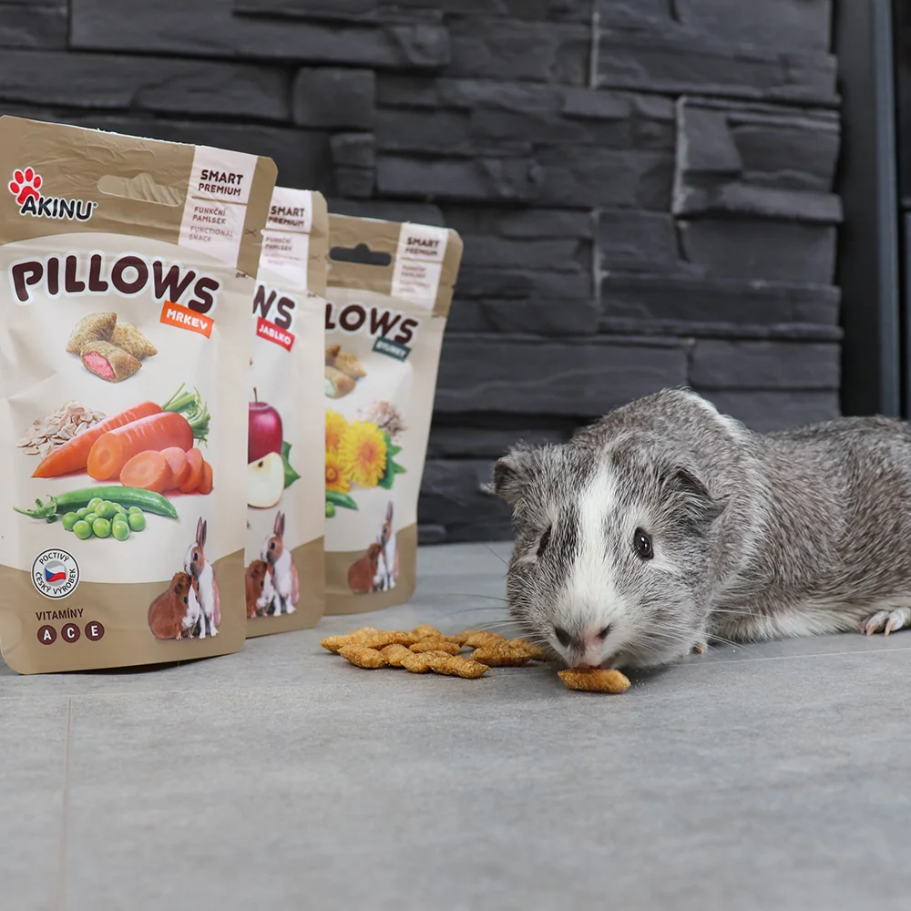Akinu PILLOWS Polštářky s mrkví pamlsek pro hlodavce 11 x 40 g
