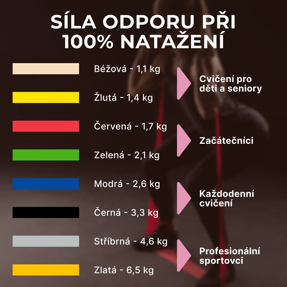 Thera-Band Inside Posilovací guma 2 m, stříbrná, super silná