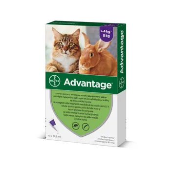 Advantage Spot-on pro velké kočky a králíky 80 mg 4x0,8 ml