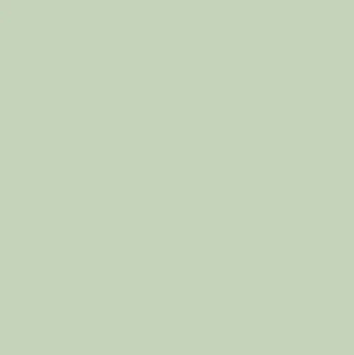 OPI Nature Strong Sage It for Later lak na nehty 15 ml