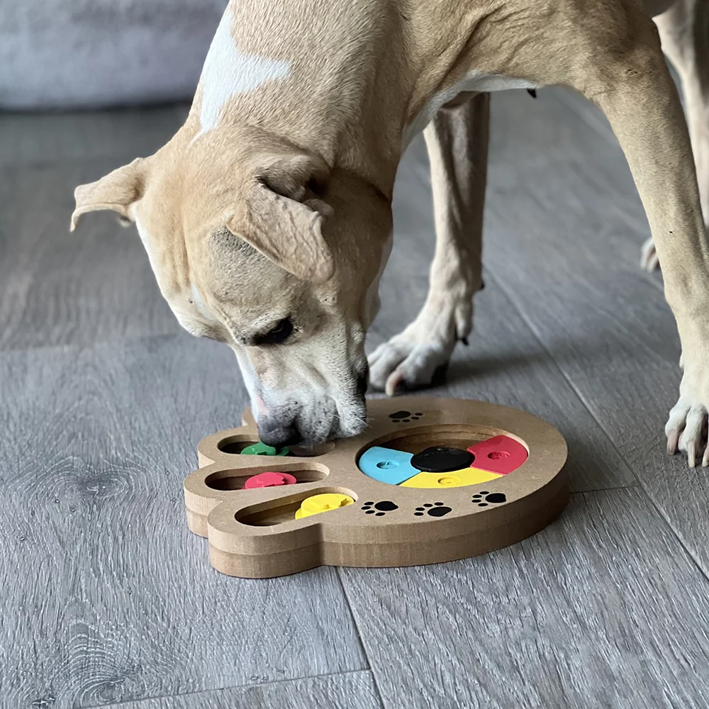 Akinu interaktivní hračka PAW pro psy