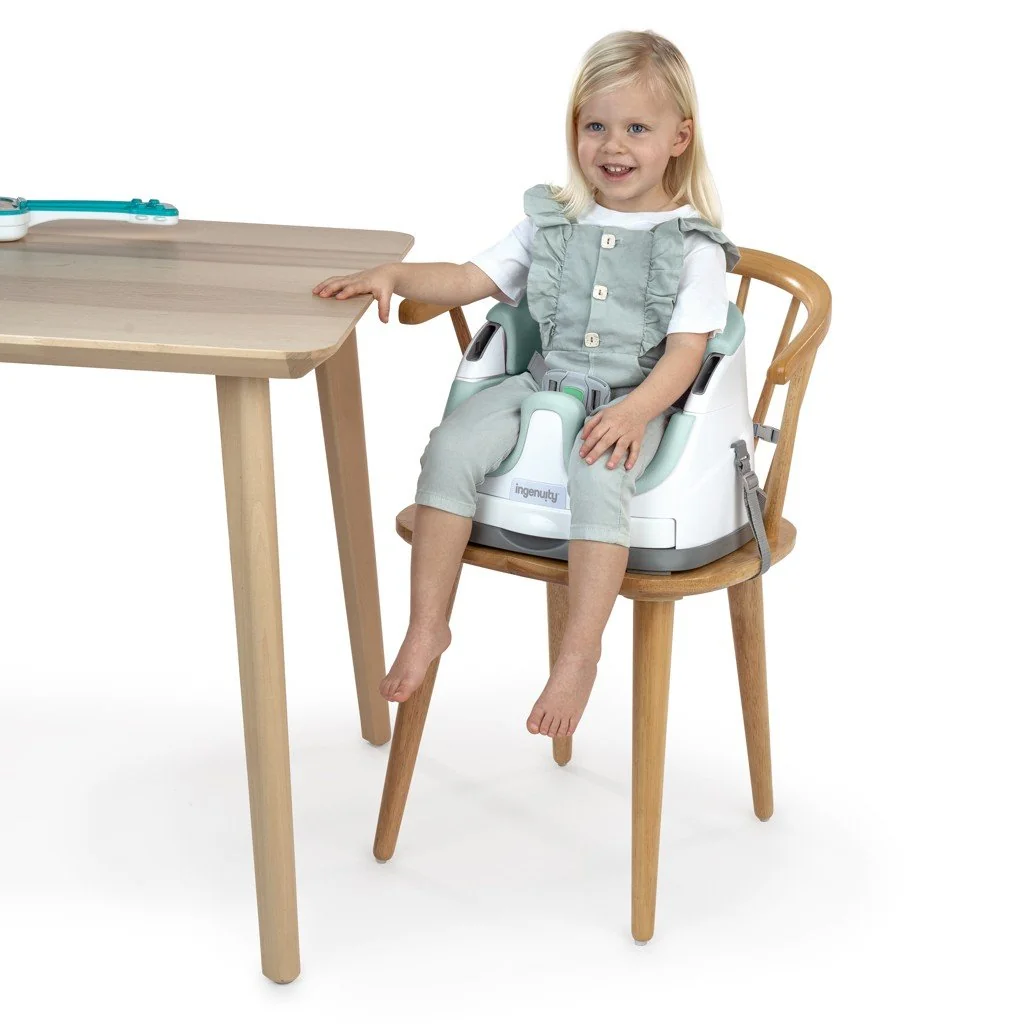 Ingenuity Podsedák na židli 2v1 Baby Base™ Mist 6m+ do 22kg