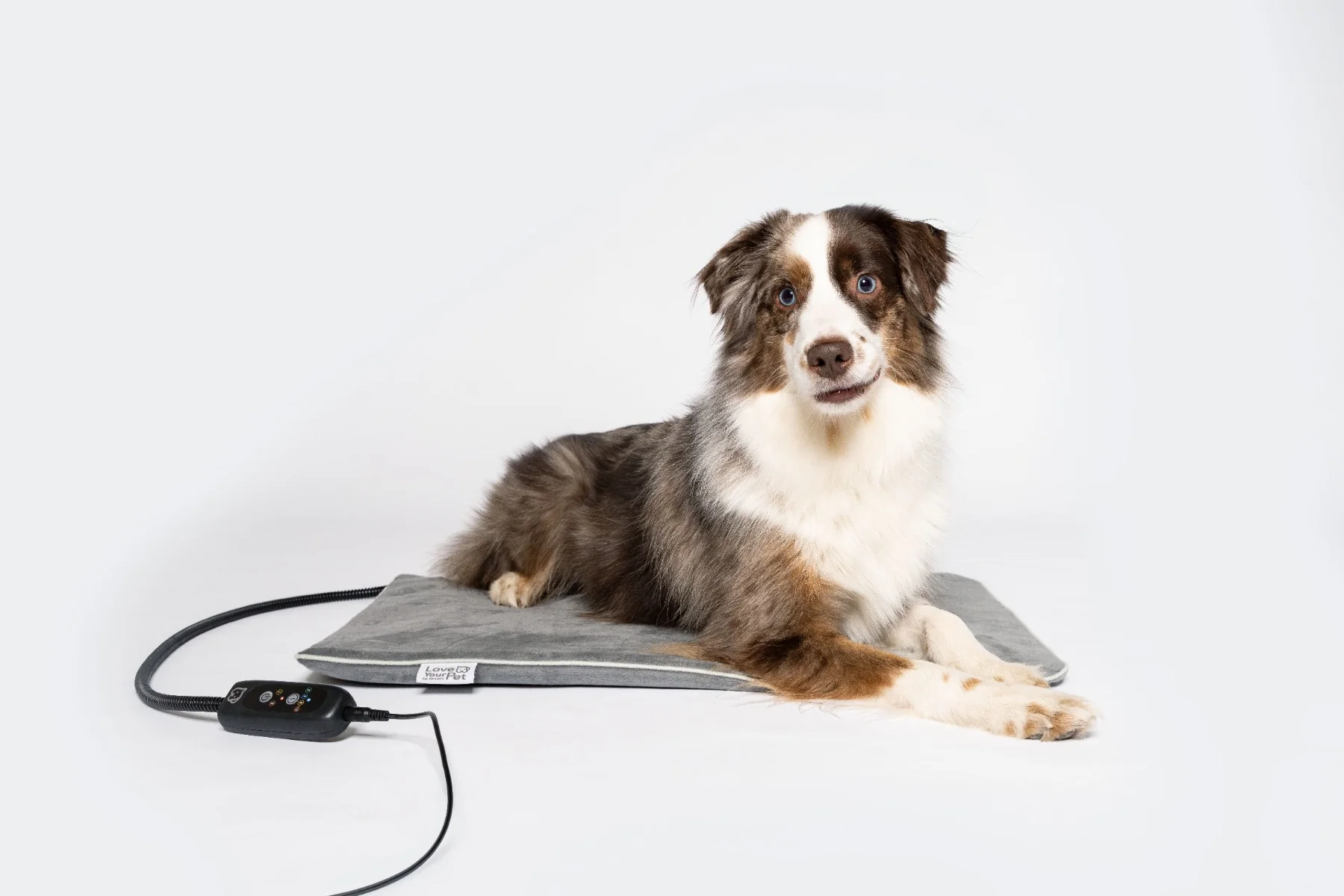 Beurer PET program Vyhřívaná podložka PP220 Sammy 65 x 50 cm šedá