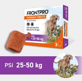 FrontPro pro psy 25-50 kg