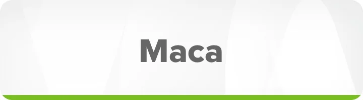 Maca