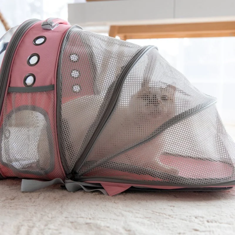 PetiGIO peti-to-Travel přepravní batoh pro psy a kočky Pink
