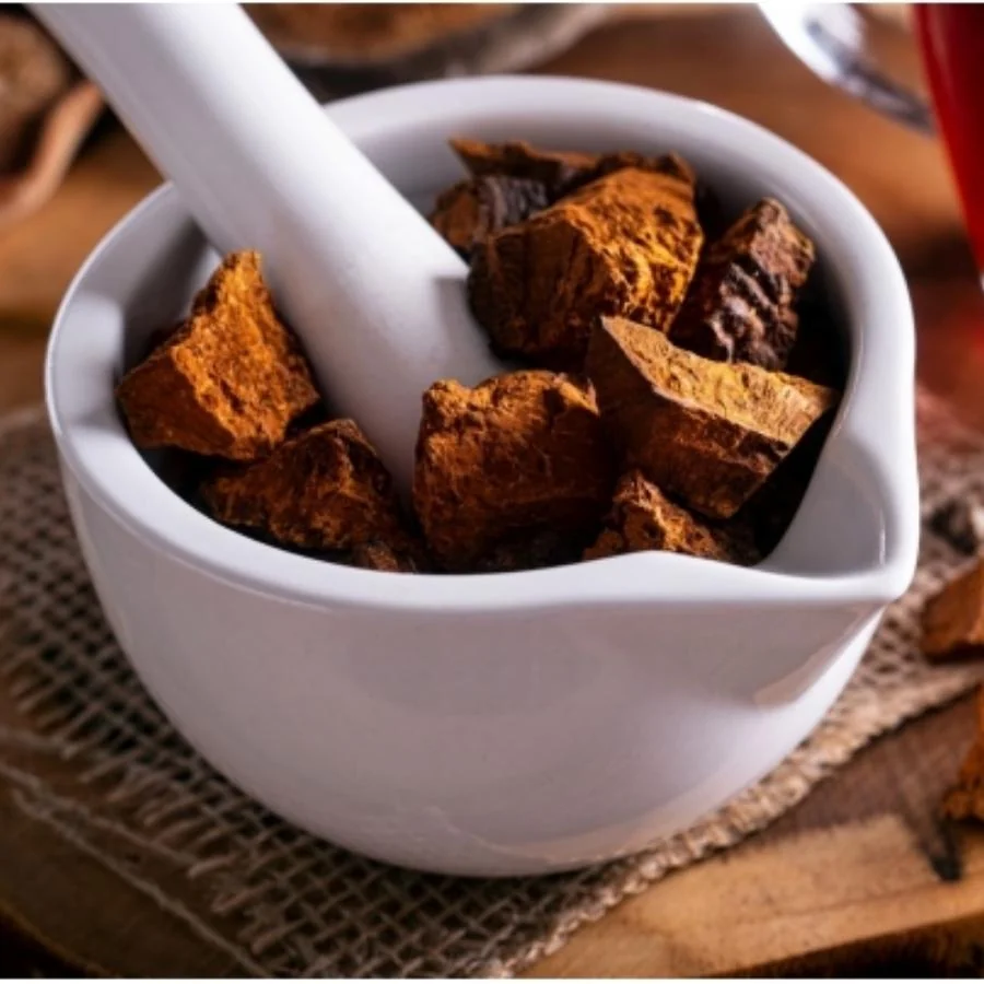 Kenay Chaga BIO Inonotus obliquus 60 kapslí