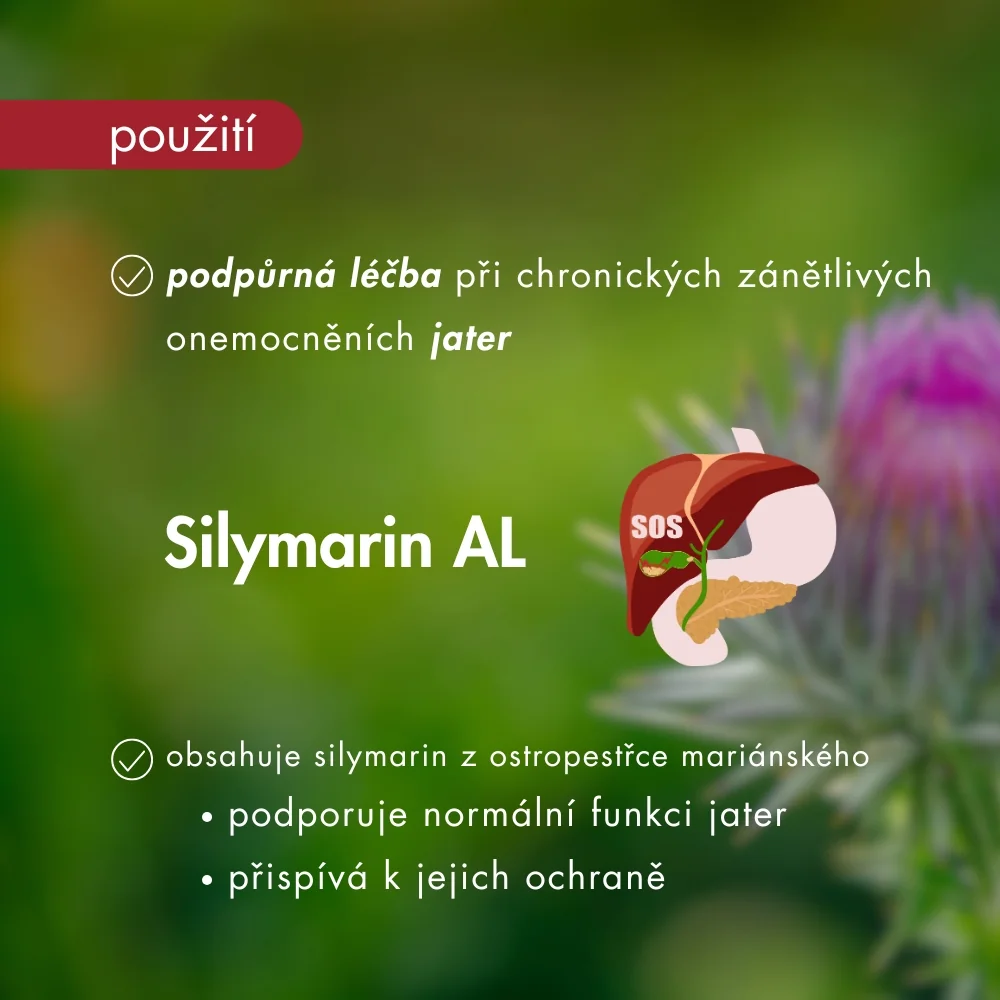 Silymarin AL 50 mg 100 tablet