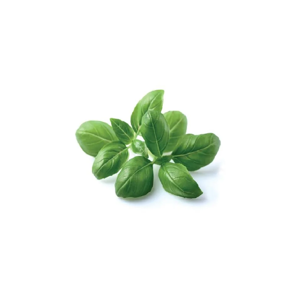 Click & Grow Náplň pro chytré květináče 3 ks - bazalka