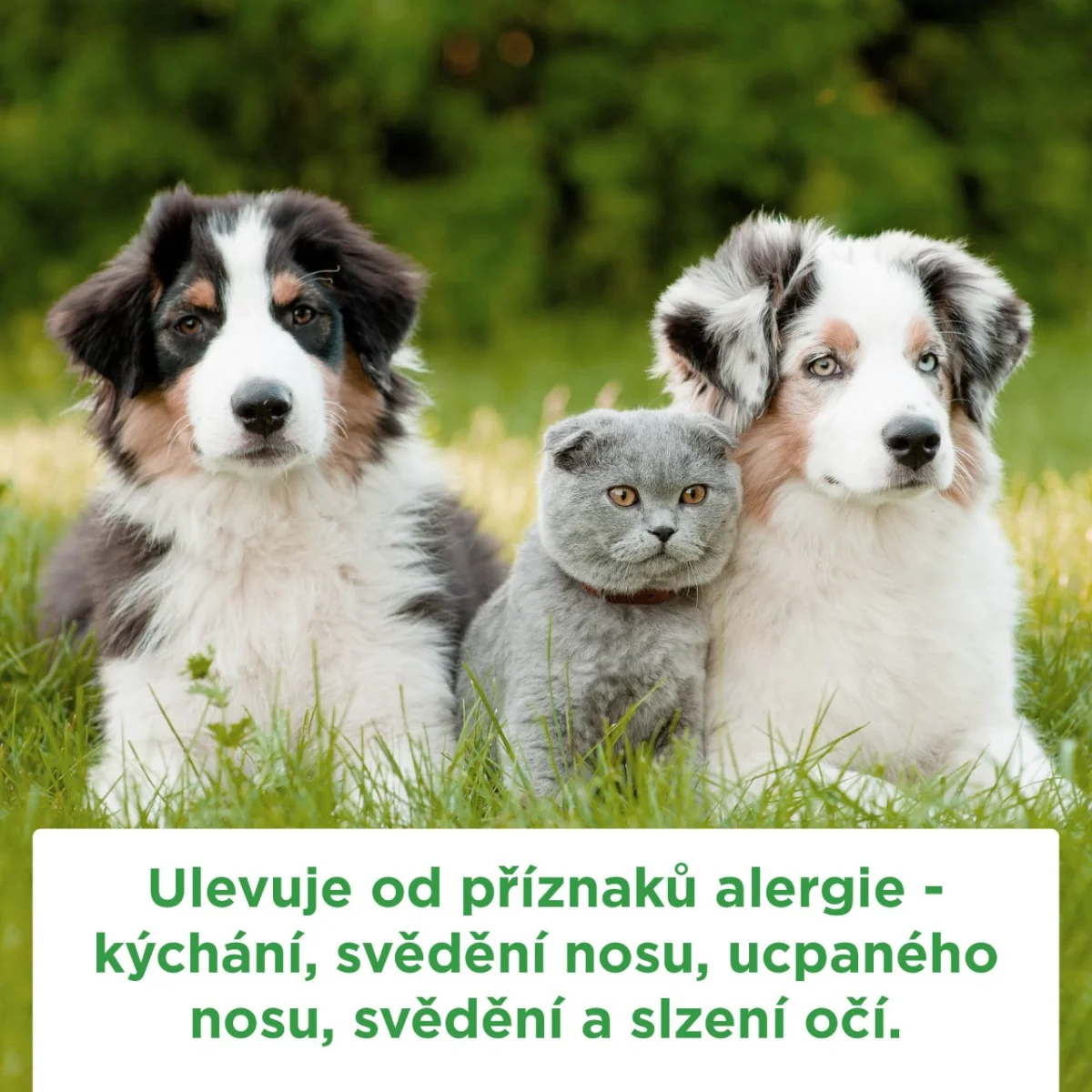 FLIXONASE nosní sprej 60 ml