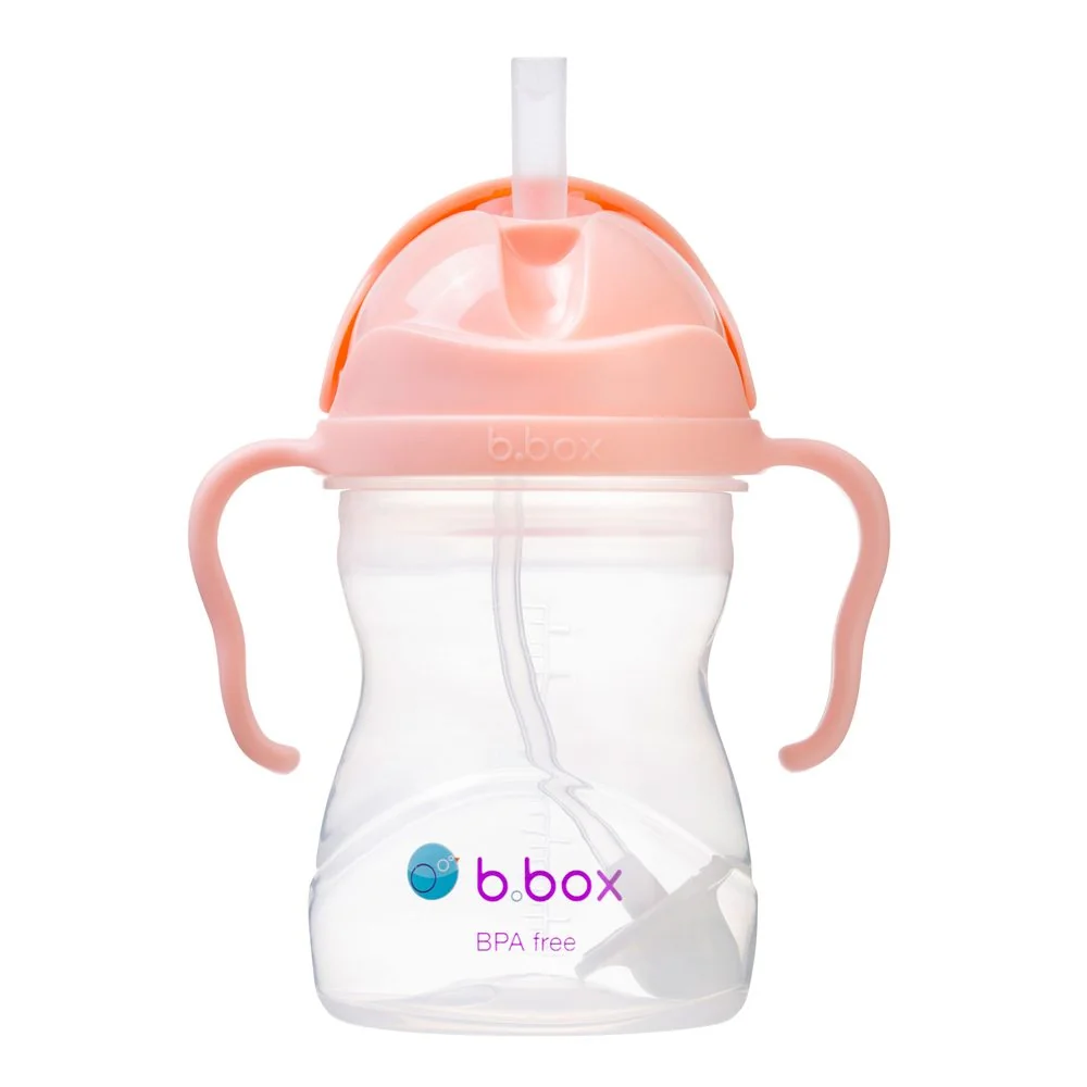 B.BOX Hrneček s brčkem - GELATO tutti frutti 240 ml