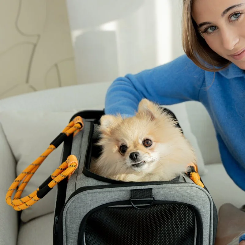 PetiGIO peti-to-Travel přenosná taška pro psy a kočky Grey