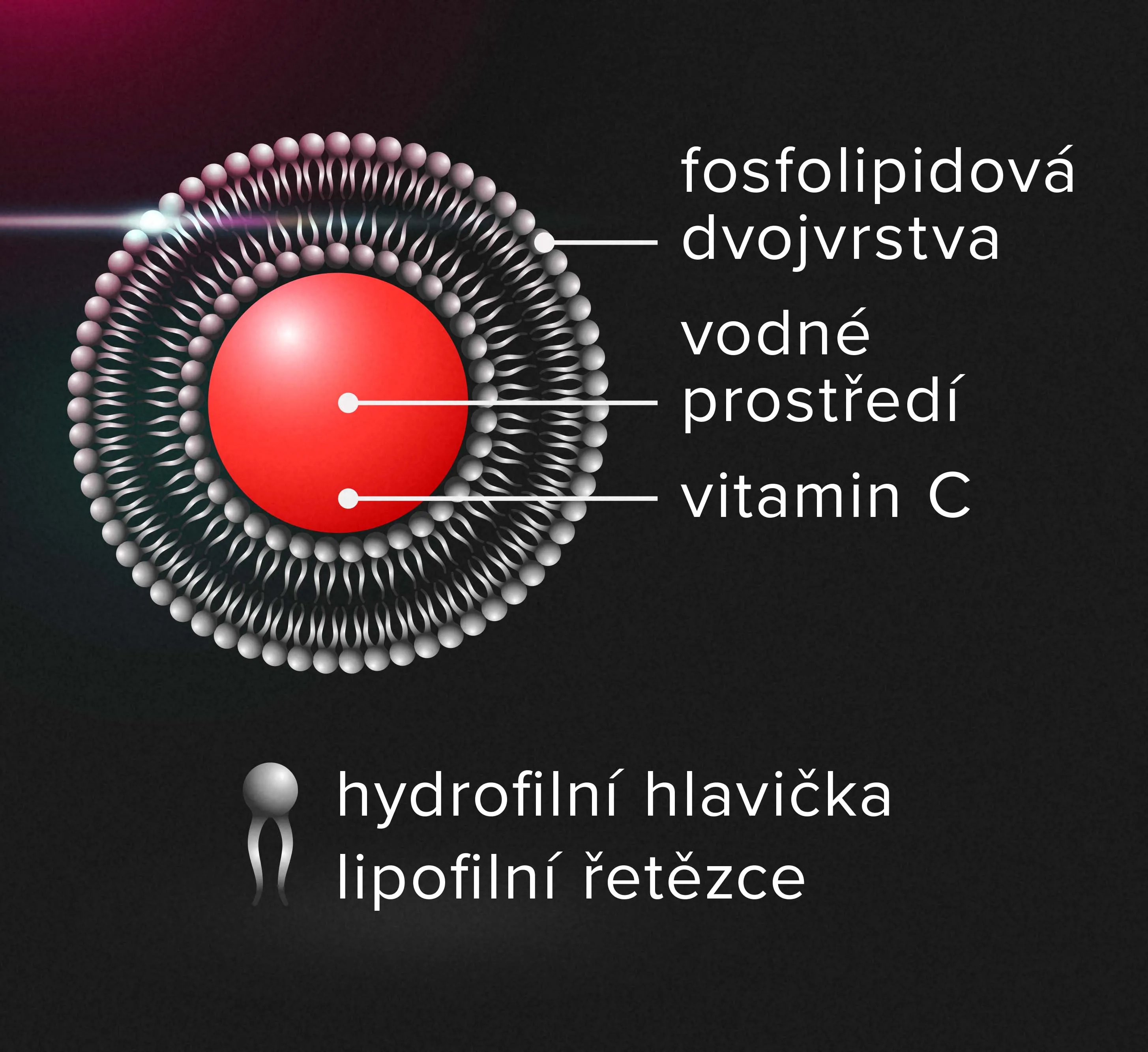 Výhody vitaminu C v lipozomální formě