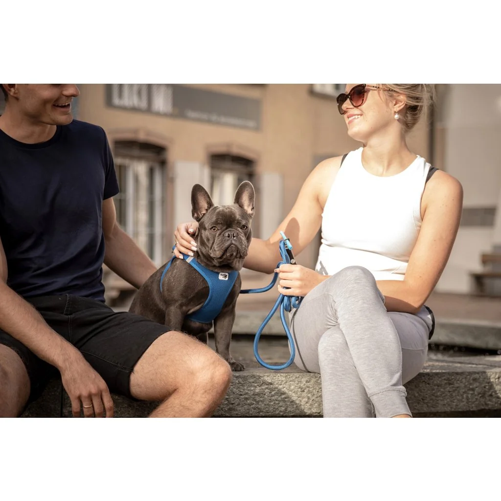 Curli Vodítko pro psy Comfort Skyblue M