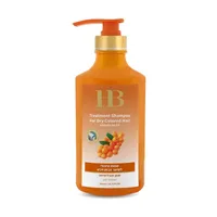 H&B Dead Sea Minerals Šampon pro suché a barvené vlasy s Rakytníkem