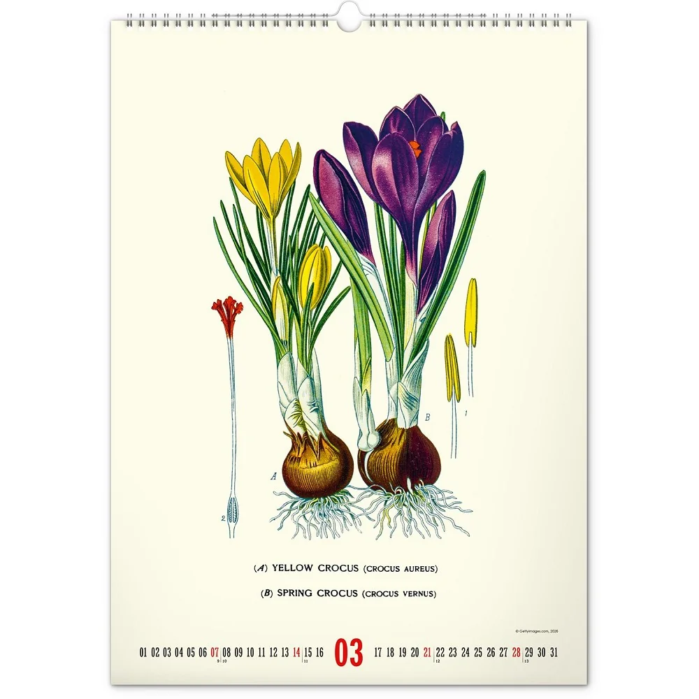 NOTIQUE Nástěnný kalendář Vintage plakáty - herbář 2027 33 × 46 cm