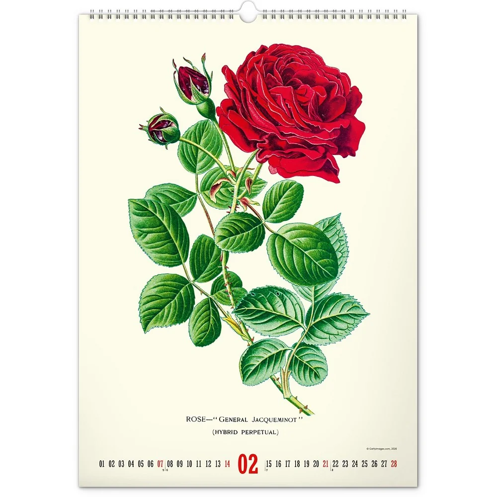 NOTIQUE Nástěnný kalendář Vintage plakáty - herbář 2027 33 × 46 cm