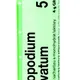 Boiron LYCOPODIUM CLAVATUM CH5 granule 4 g