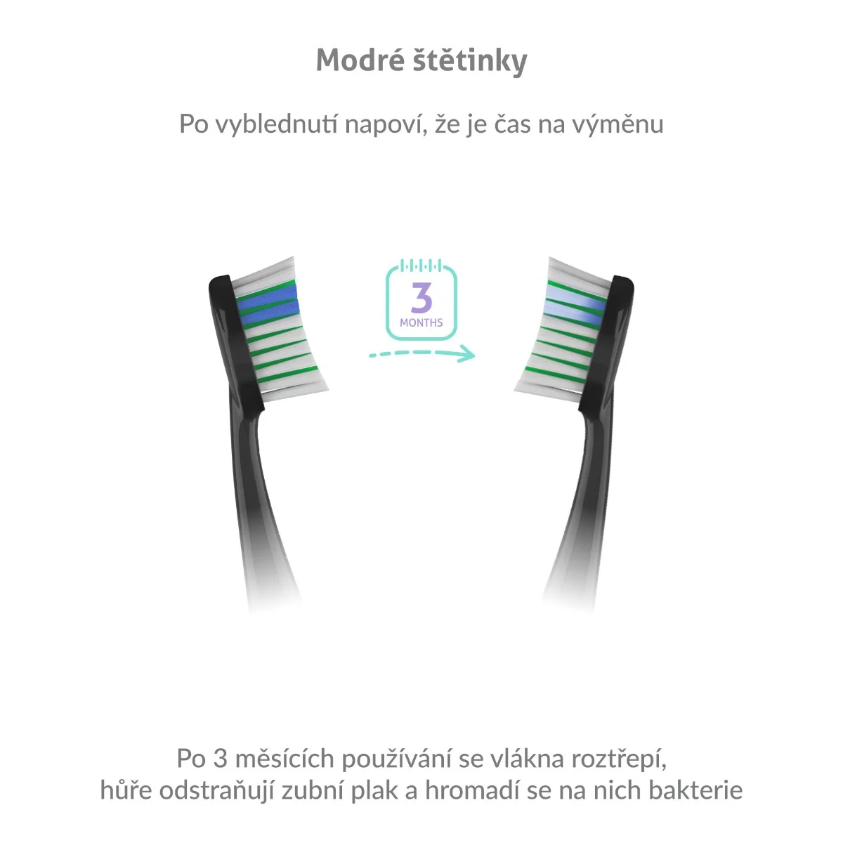 Truelife SonicBrush K-series Heads Standard náhradní hlavice 2 ks black