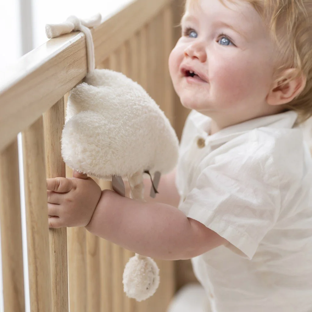 Nattou Hračka hudební Teddy obláček 25 cm, 0m+