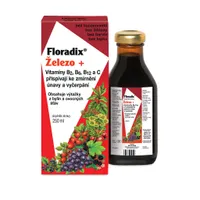 Salus Floradix Železo+