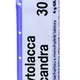 Boiron PHYTOLACCA DECANDRA CH30 granule 4 g