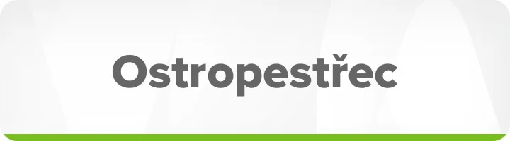 Ostropestřec