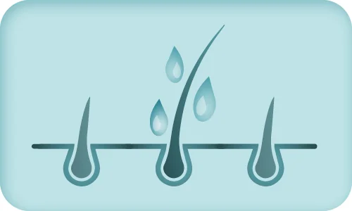 Xpermoist