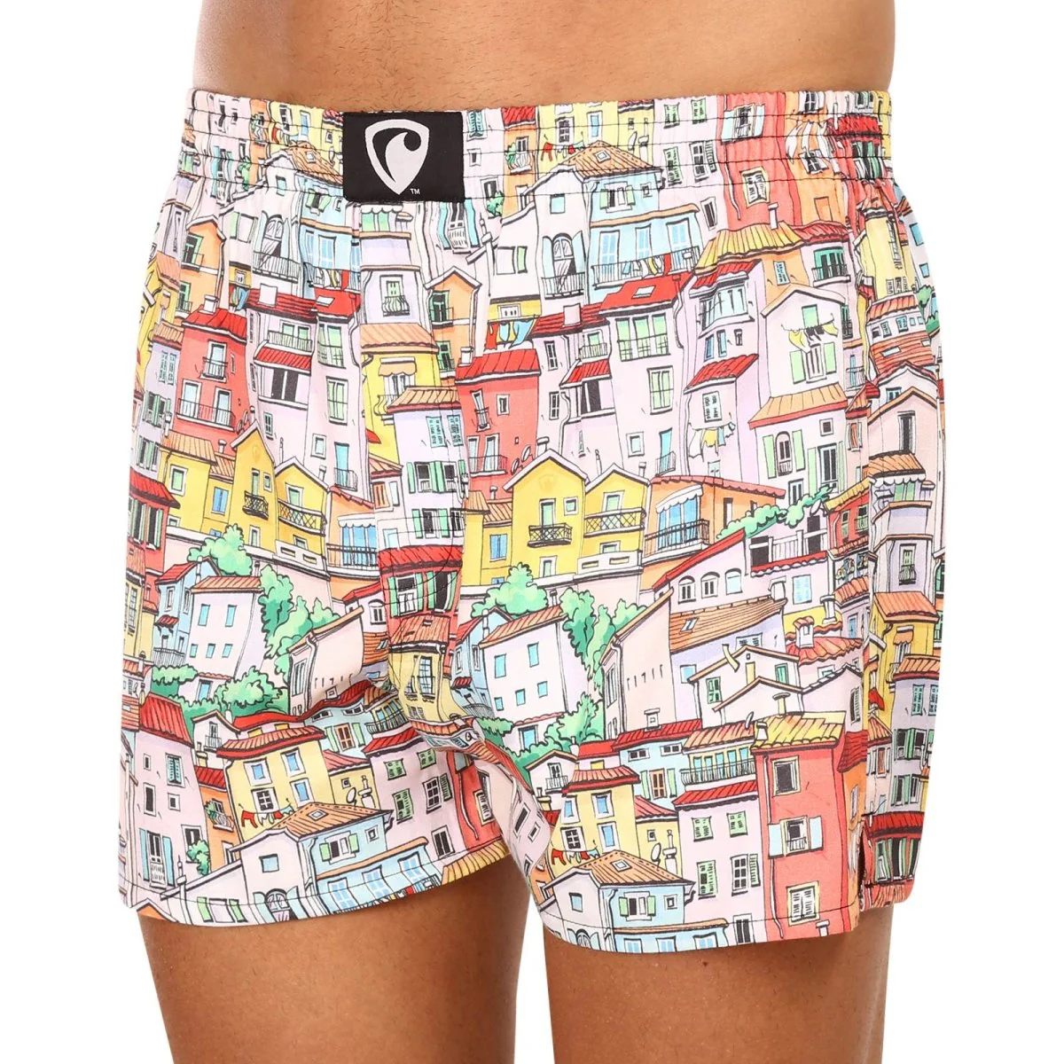 Represent Pánské trenky exclusive Ali small town (R3M-BOX-0616) L