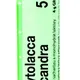 Boiron PHYTOLACCA DECANDRA CH5 granule 4 g