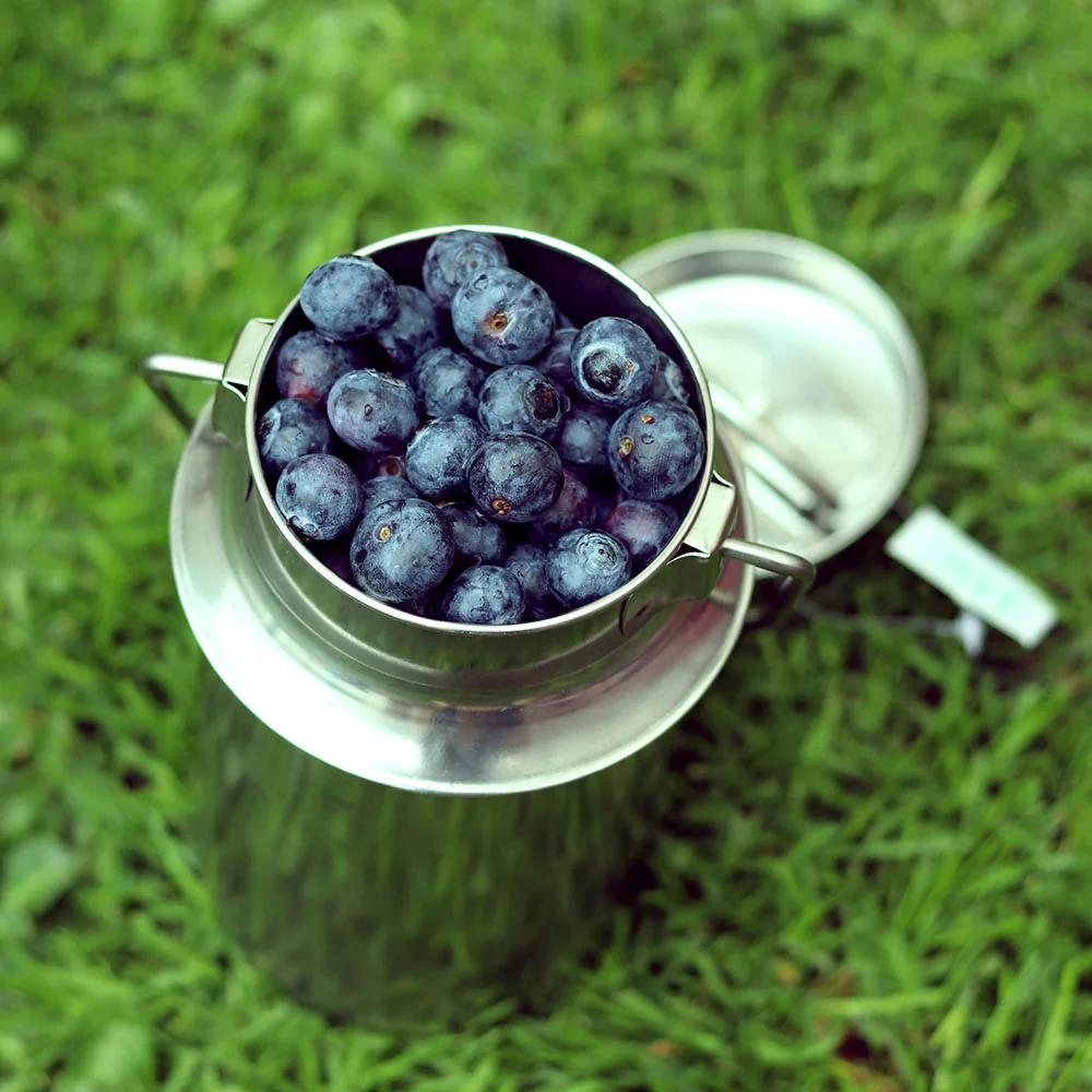 HOME ELEMENTS Ešus s příborem a bandaska, 3 l