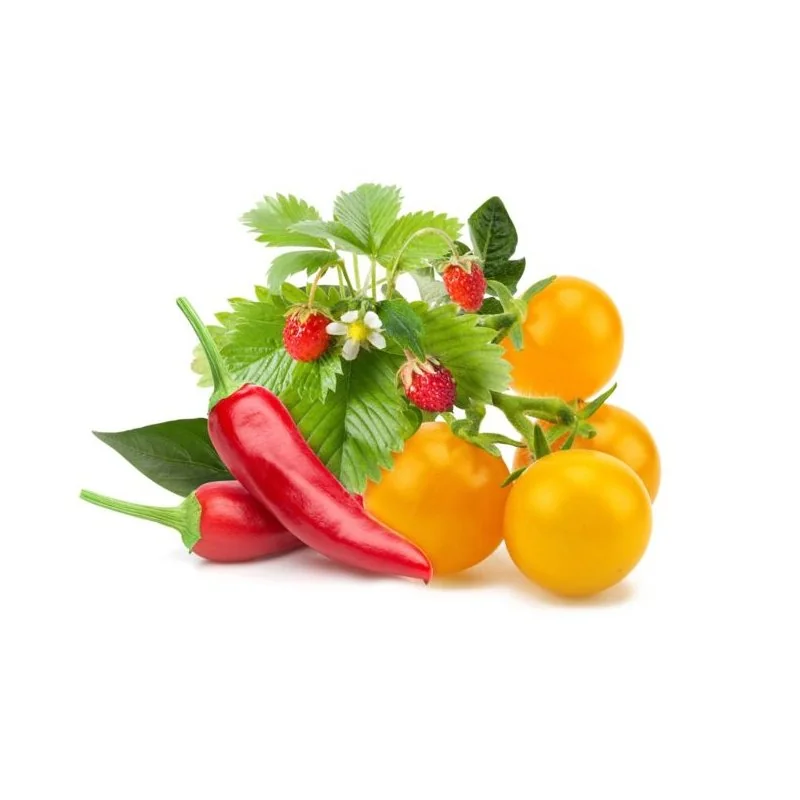 Click & Grow Sada 9 kapslí pro chytré květináče - mix ovoce a zeleniny