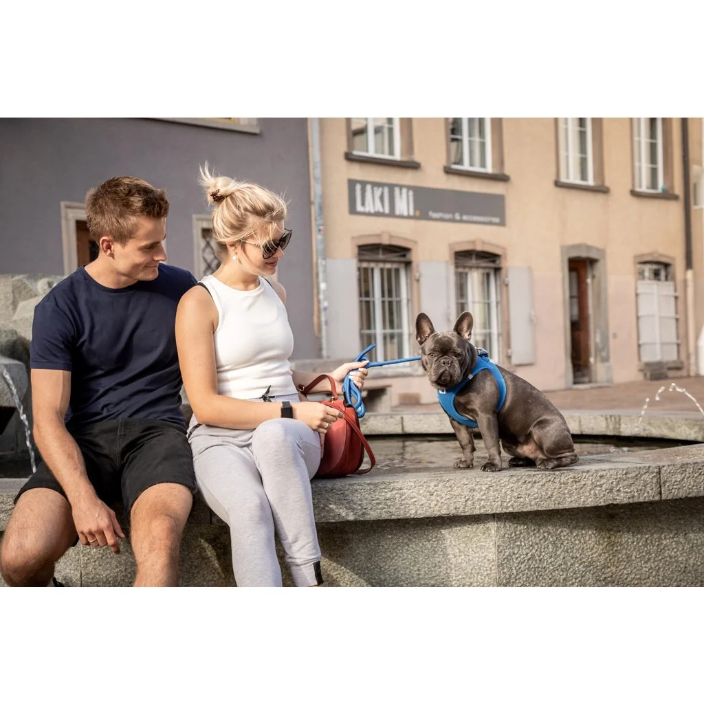Curli Vodítko pro psy Comfort Blue M