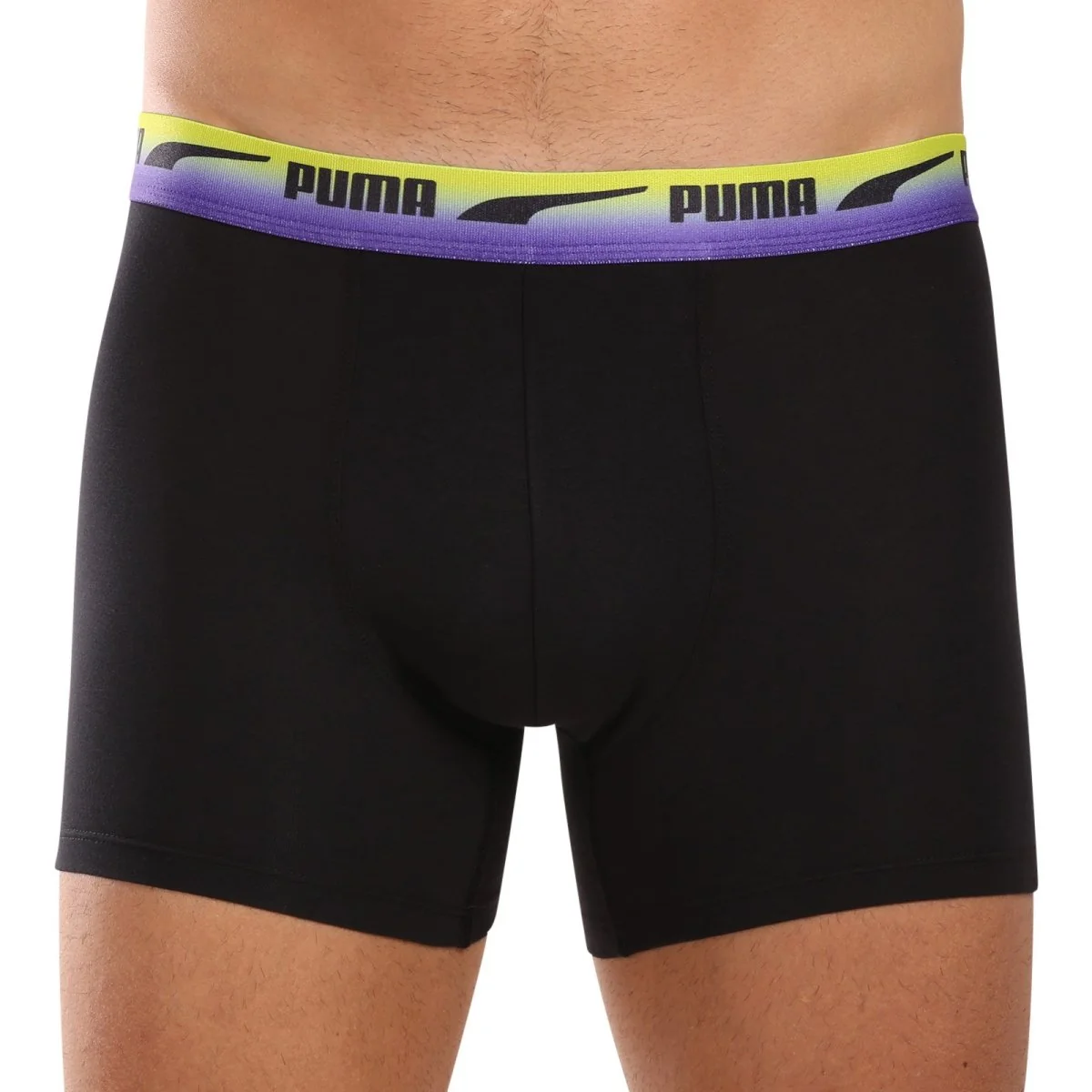 Puma 2PACK pánské boxerky vícebarevné (701225879 001) L