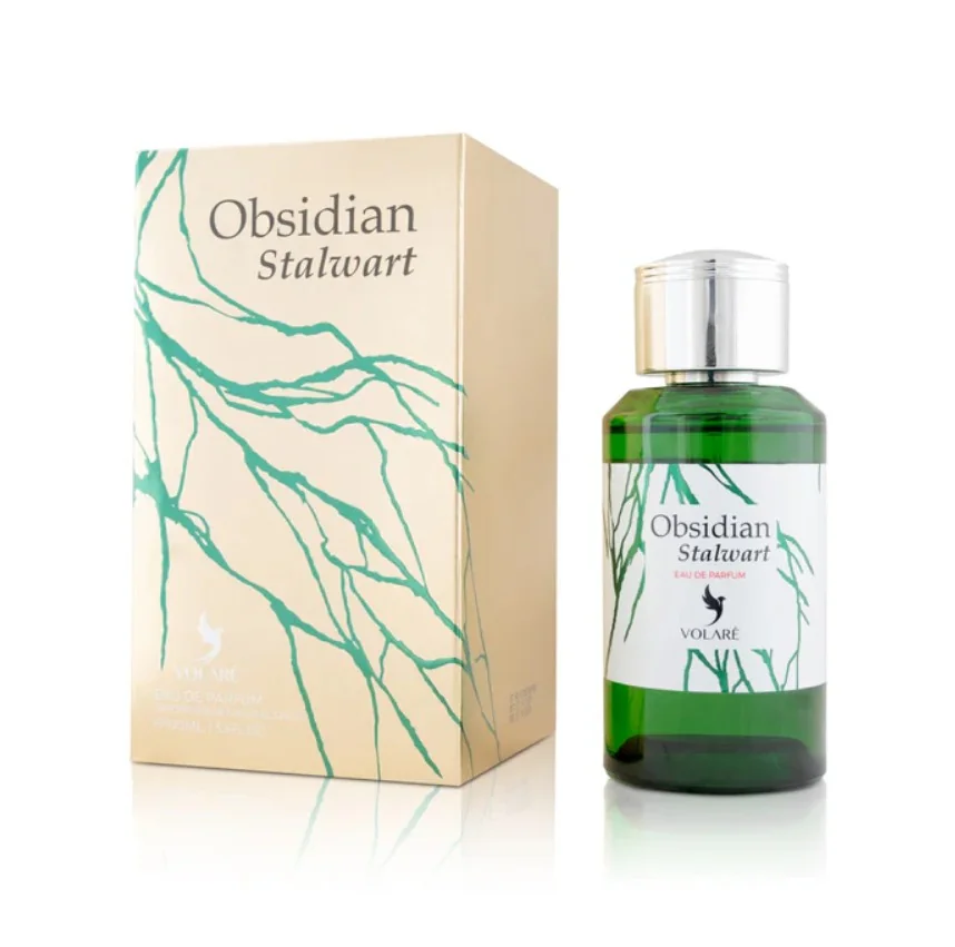 Volare Parfémovaná voda - OBSIDIAN STALWART - Objem: 100ml