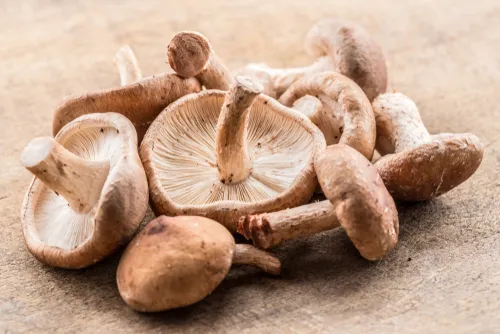 Shiitake a maitake