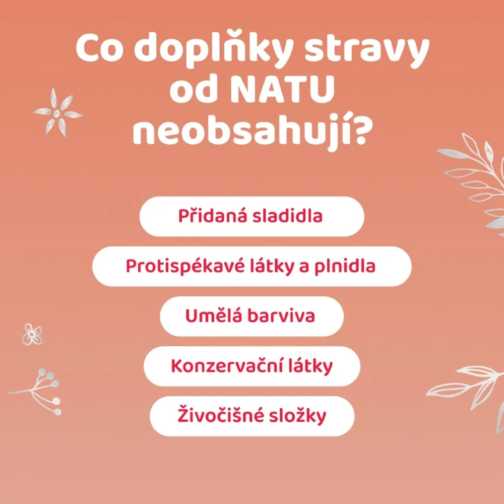 NATU BetaGlukan 500 mg s BIO acerolou 60 kapslí
