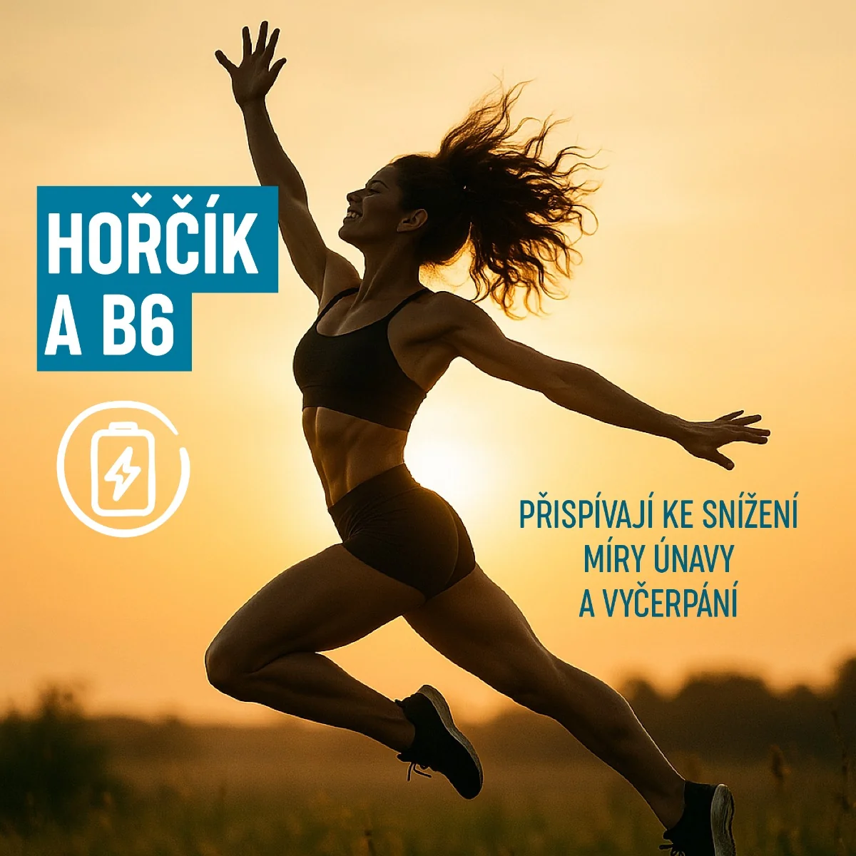 Organis Magnesium Bisglycinát + B6 60 kapslí