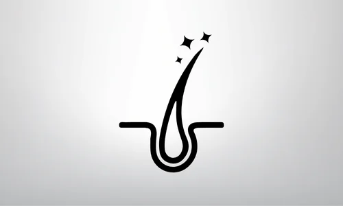 ikona