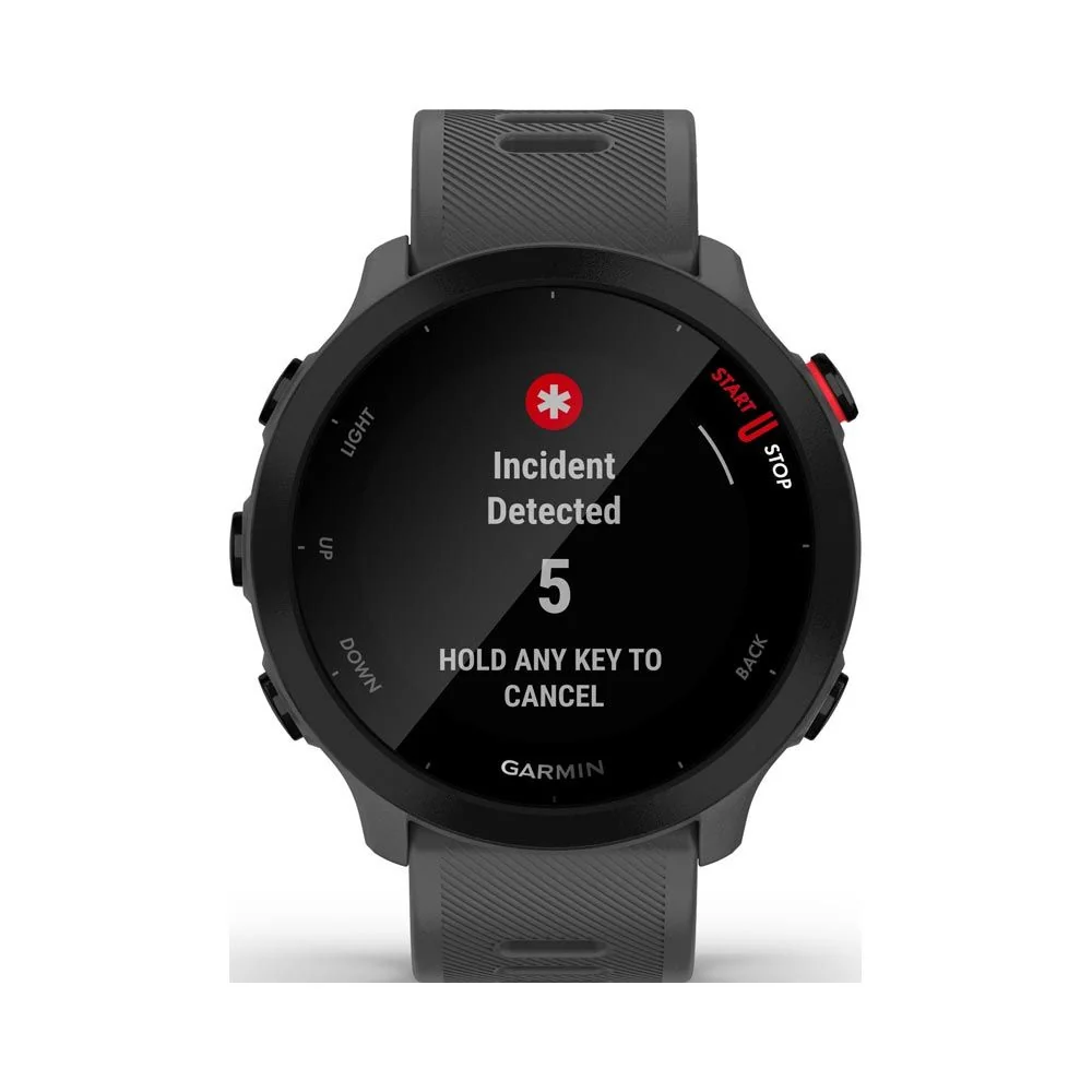 Garmin Forerunner 55 chytré hodinky s GPS Monterra Grey