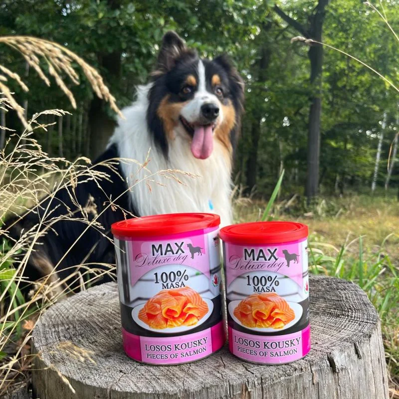 Sokol Falco MAX losos kousky 800g
