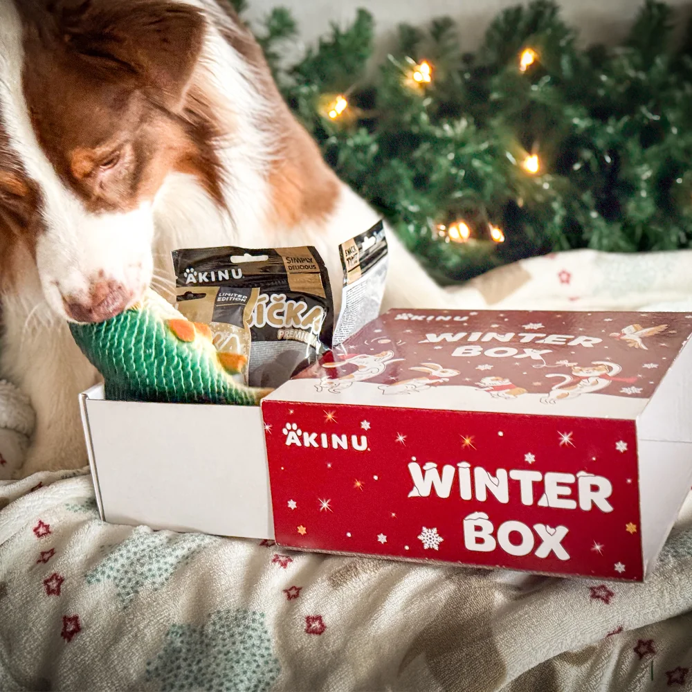 Akinu WINTER BOX Masíčka Premium pro psy