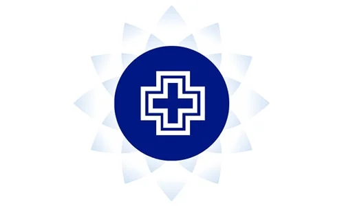 ikona