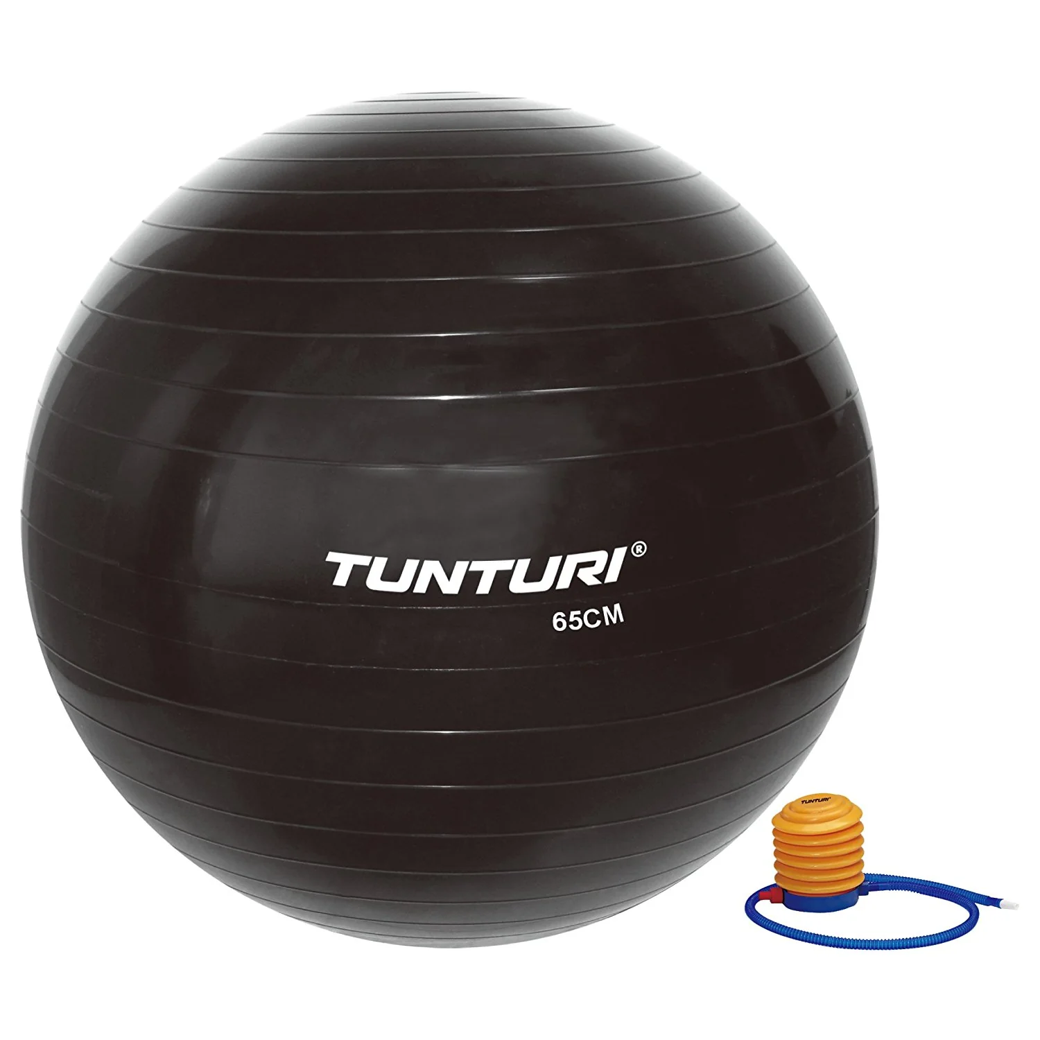 Tunturi Gymnastický míč s pumpičkou černý varianta 90 cm