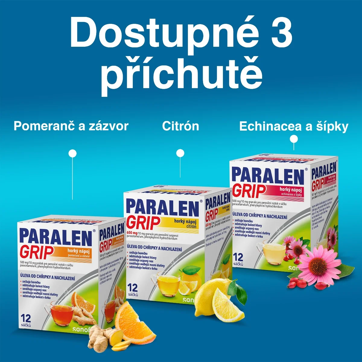 Paralen Grip Horký nápoj echinacea a šípky 12 sáčků