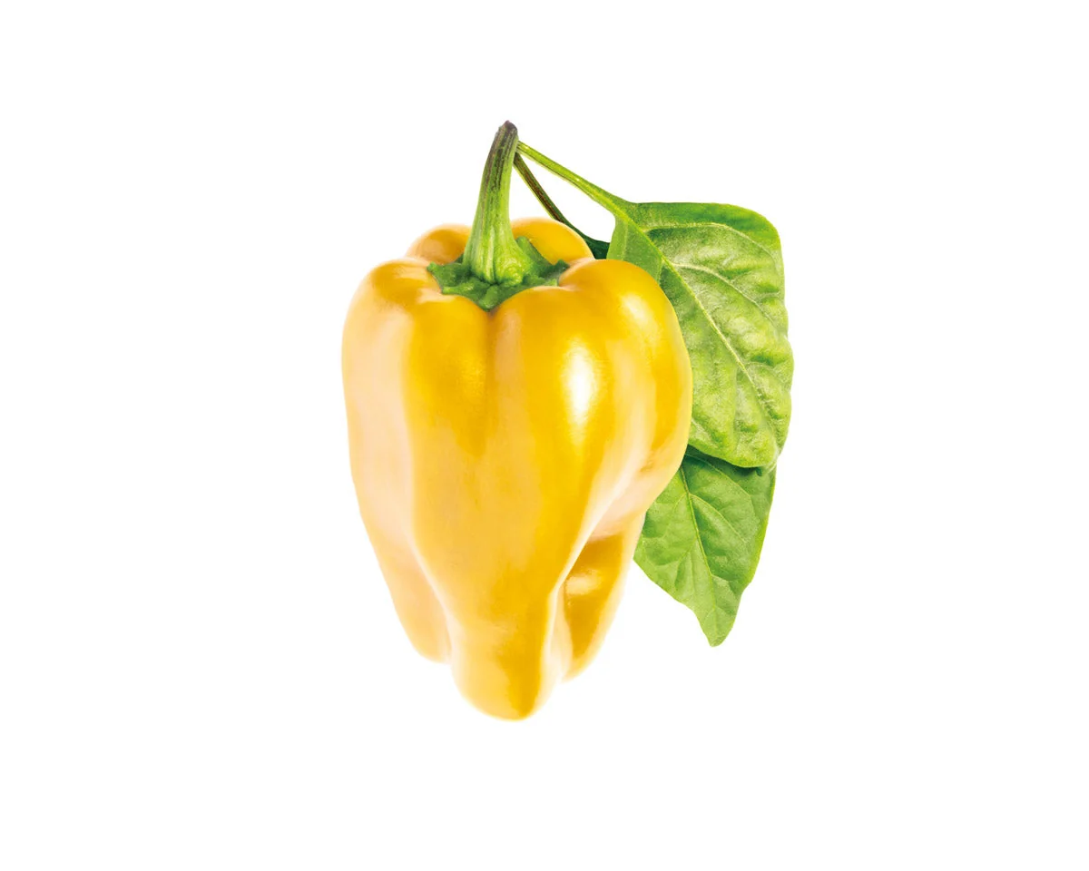Click & Grow Náplň pro chytré květináče 3 ks - sladká žlutá paprika