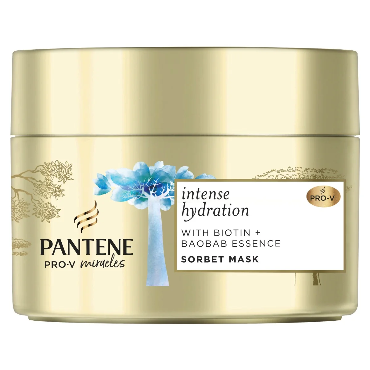 Pantene Pro-V Intense Hydration Surge maska na vlasy 160 ml